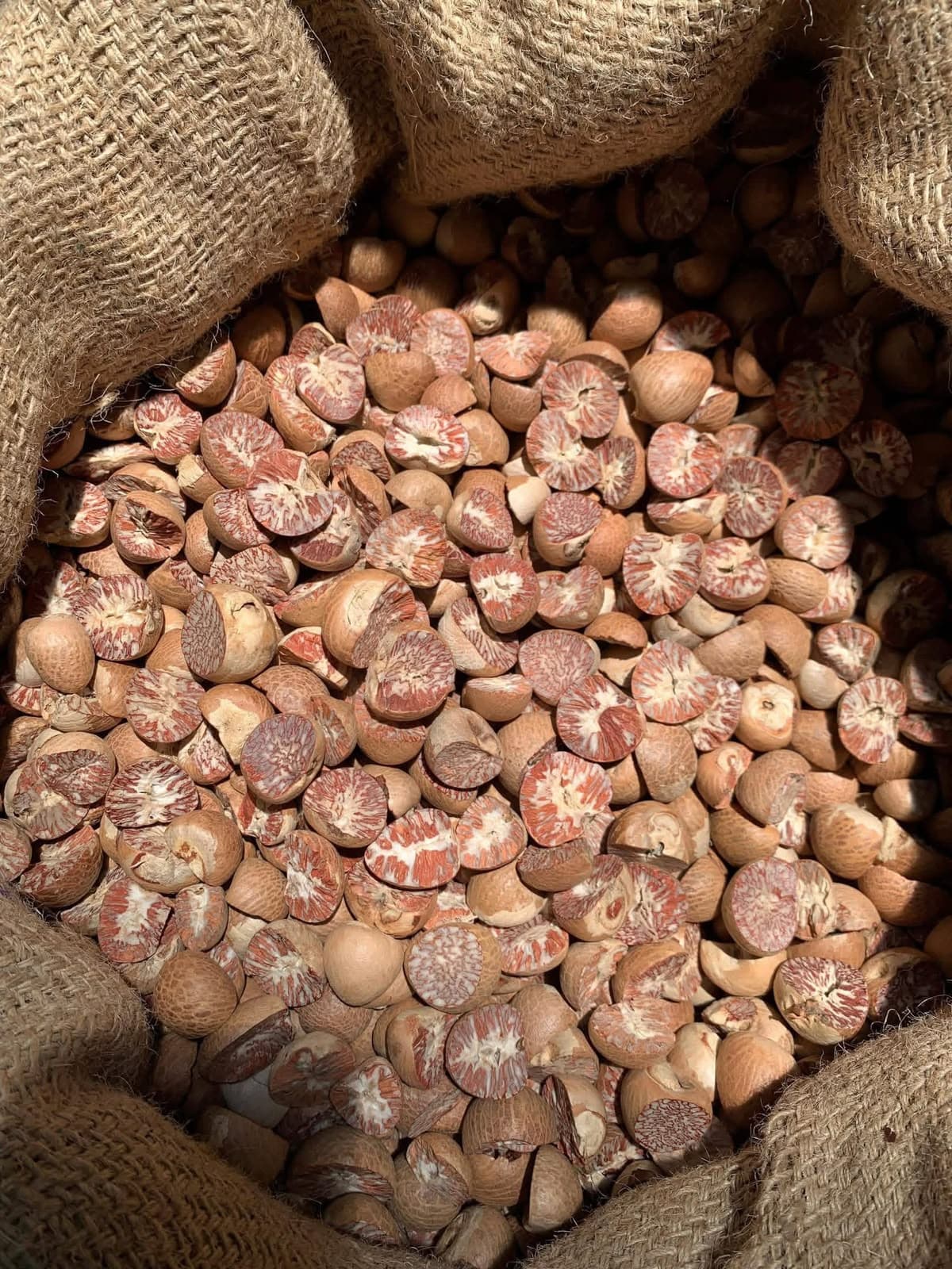 Raw Areca Nut — Split