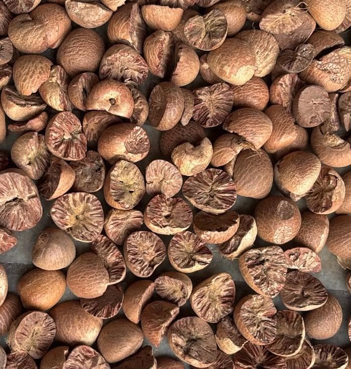 Roasted Areca Nut — Split